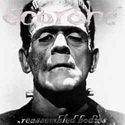 Ecorché : Reassembled Bodies